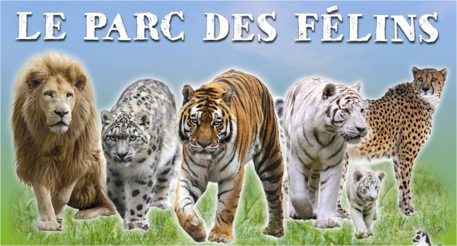 Parc des Félins - Lumigny-Nesles-Ormeaux | Secret World Trip Planner