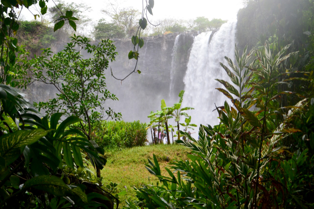 Il Salto de Eyipantla — Eyipantla Falls