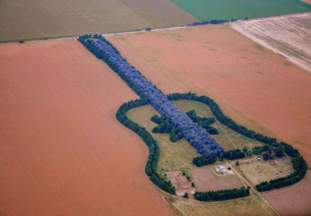 La Foresta della Chitarra — General Levalle