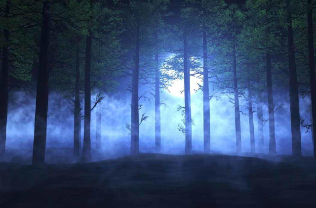 Aleya ghost lights - খুলনা | Secret World Trip Planner