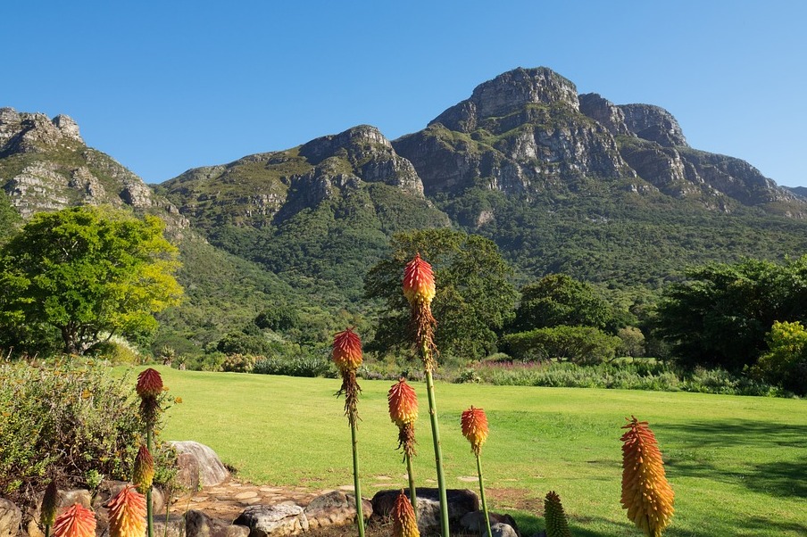 The Kirstenbosch National Botanical Garden — Cape Town