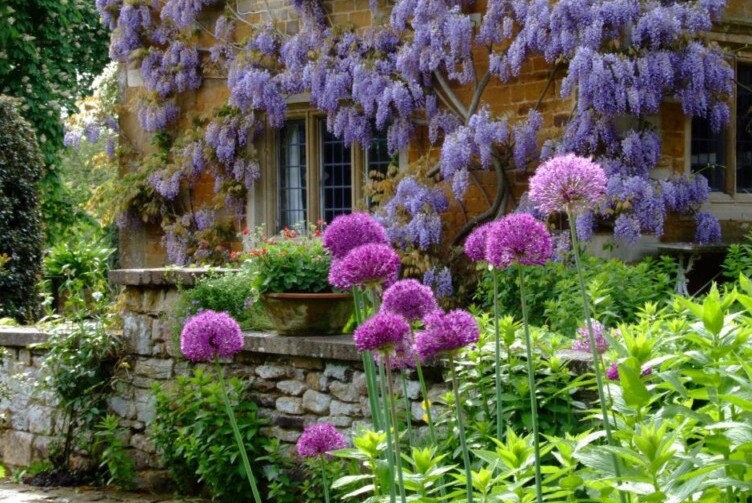 Coton Manor: Bluebells, wildflowers and birds — Coton