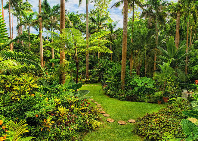 Hunte's Gardens ist ein wahres karibisches Juwel — Coffee Gully