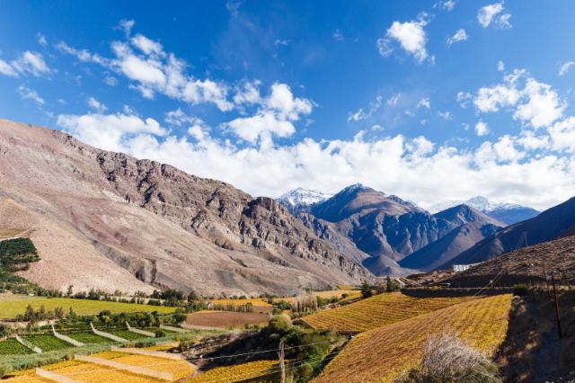 Elqui Valley — Vicuña