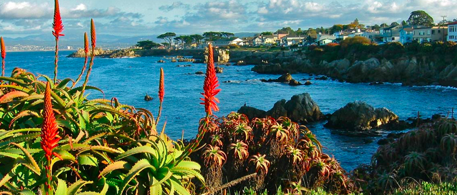 Die Halbinsel Monterey — Del Monte Forest