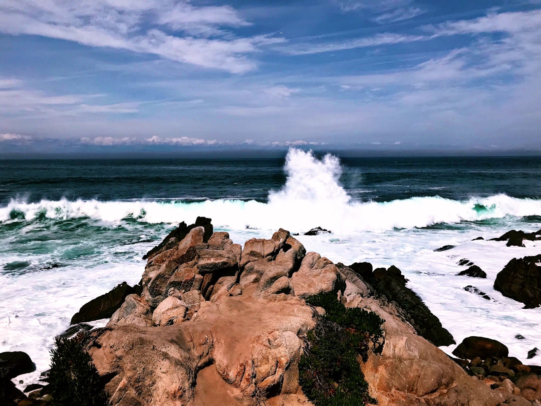 17-Meilen-Laufwerk bietet atemberaubende Aussichten auf den Ozean - Pacific Grove | Secret World Trip Planner