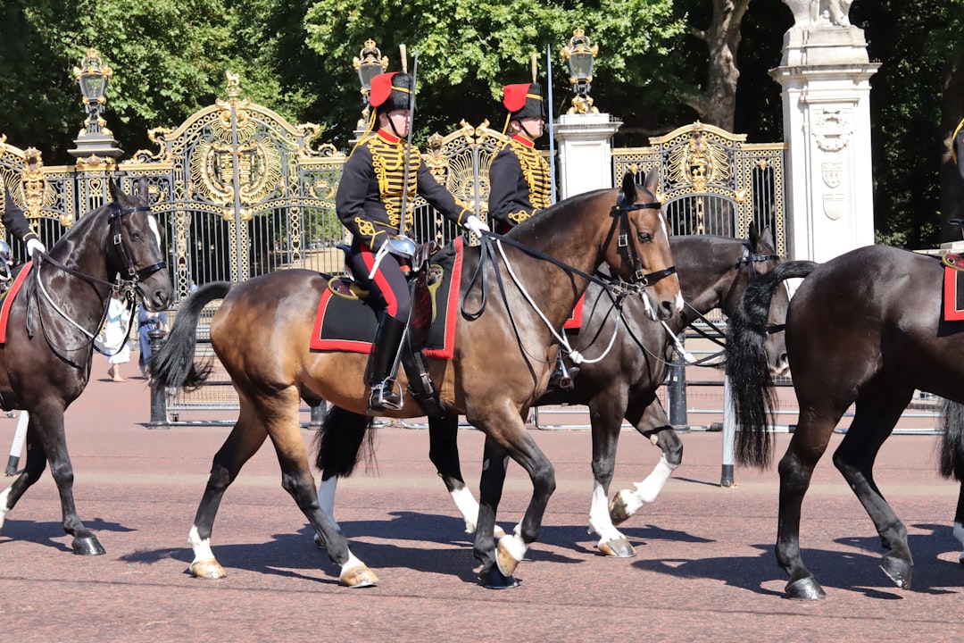 Household Cavalry Museum: ein lebendiges Museum im Herzen der Horse Guards. - Westminster | Secret World Trip Planner