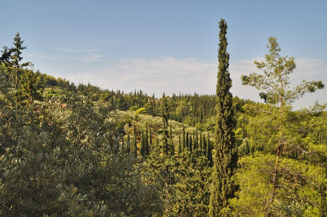 Kaisariani Monastery & Forest, - greece greece | Secret World Trip Planner
