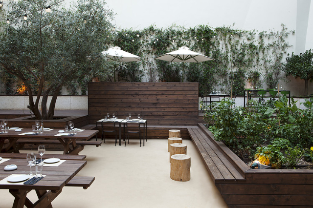 A Hidden Oasis in Athens: 48 Urban Garden - Αμπελόκηποι | Secret World Trip Planner