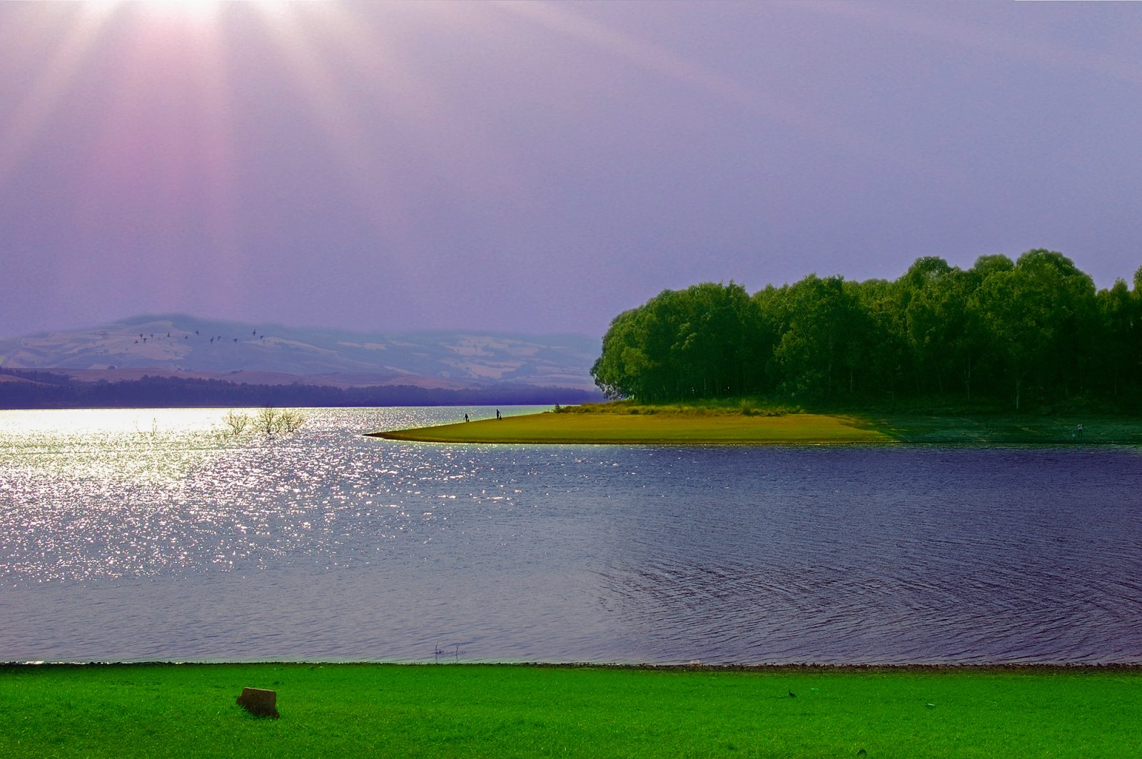 डब्ल्यूडब्ल्यूएफ नखलिस्तान की झील San Giuliano  - Lago di San Giuliano | Secret World Trip Planner