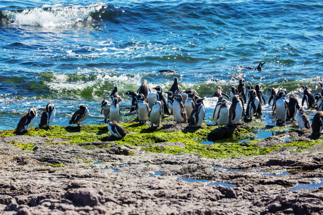 Nationales Naturschutzgebiet Magallanes - Monterusciello | Secret World Trip Planner