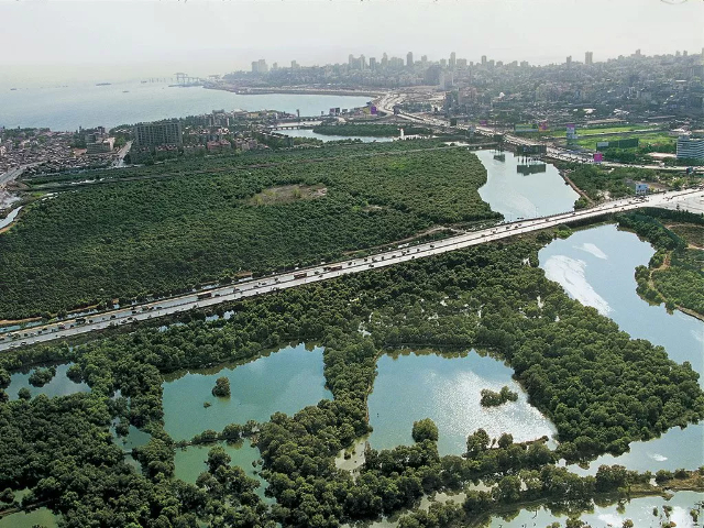 Parco naturale del Maharashtra — Mumbai