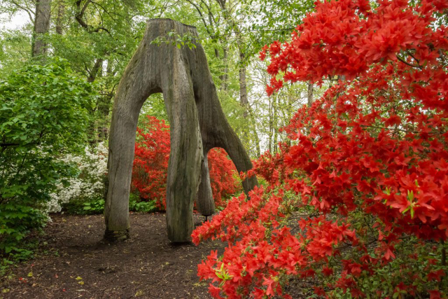 Museo, giardino e biblioteca di Winterthur - Winterthur | Secret World Trip Planner