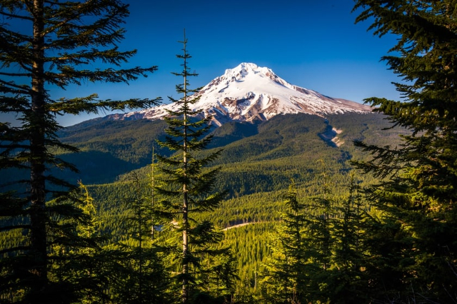 Foresta nazionale di Mt. Hood — Mt Hood National Forest