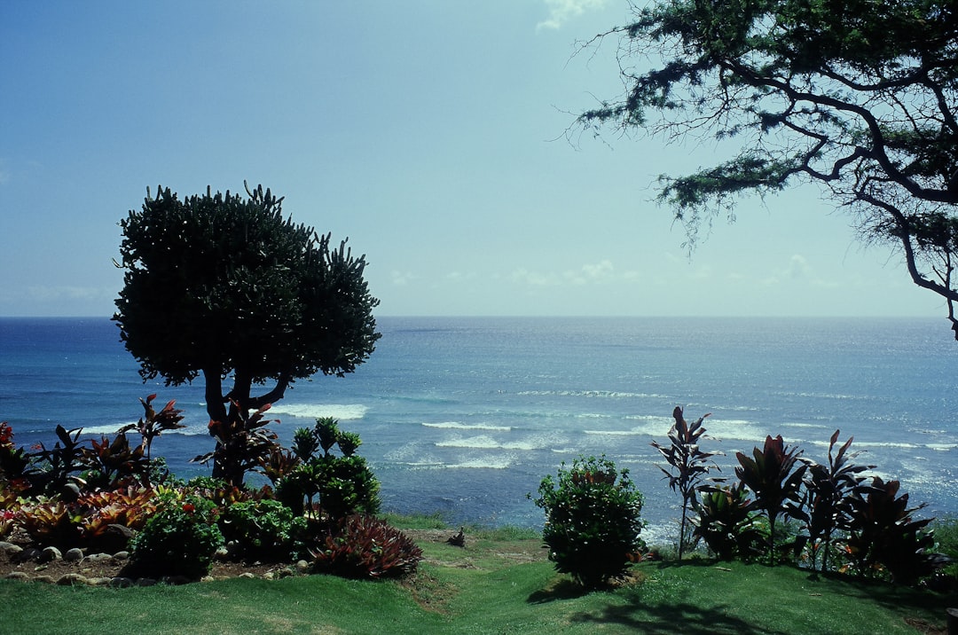 Hawaii | Oahu “The Gathering Place” - Hawaii | Secret World Trip Planner