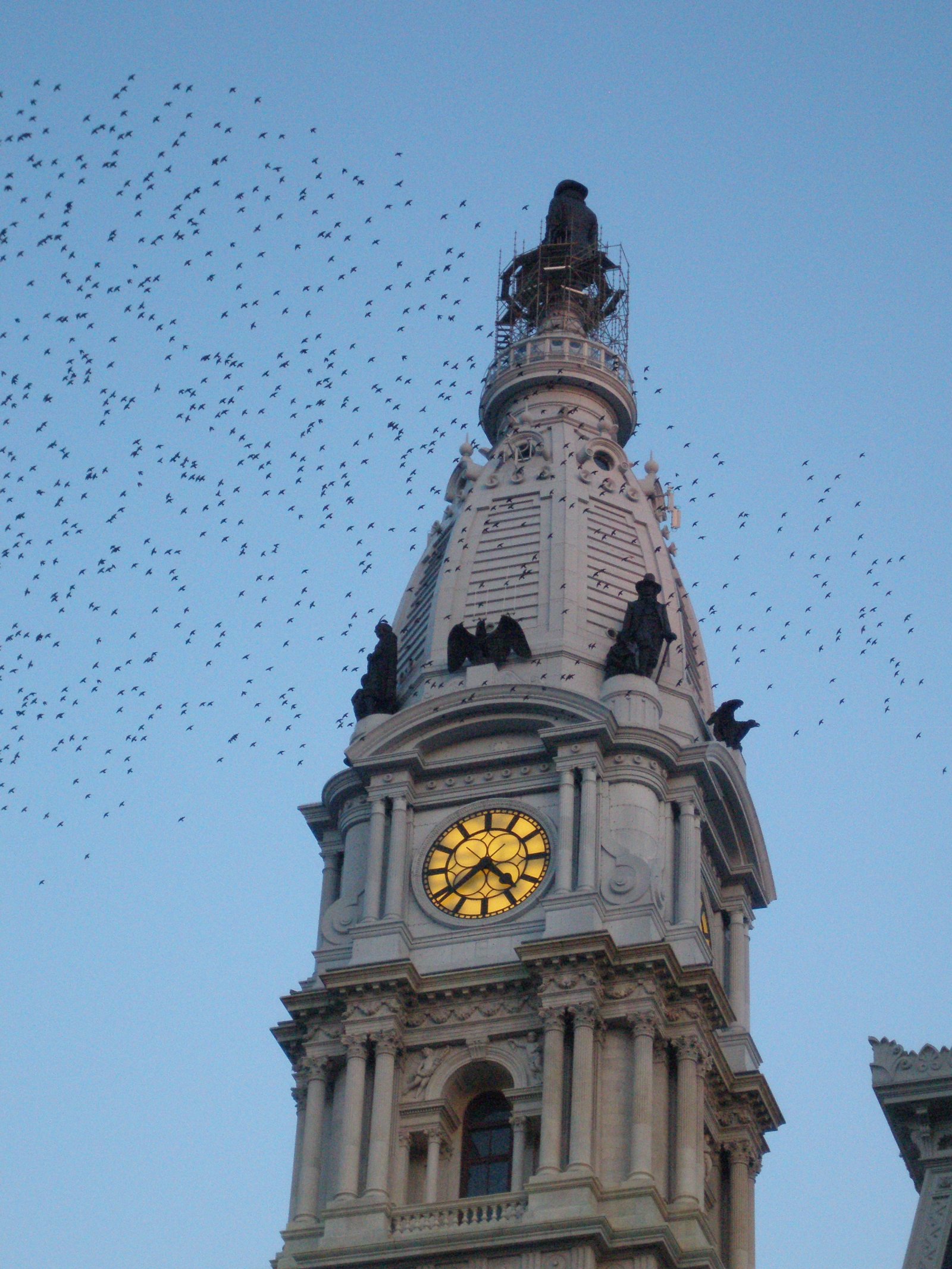 The Philadelphia City Hall Clock Tower: A Hidden Architectural Marvel - Philadelphia | Secret World Trip Planner