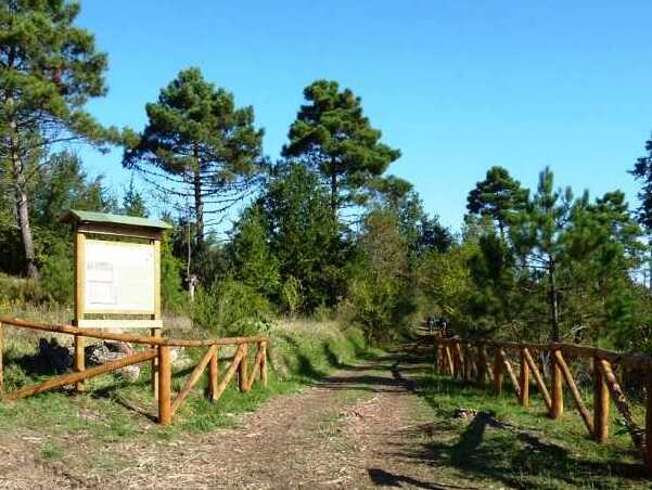 Tuscany | The woods of Cerbaie - Cerbaie | Secret World Trip Planner
