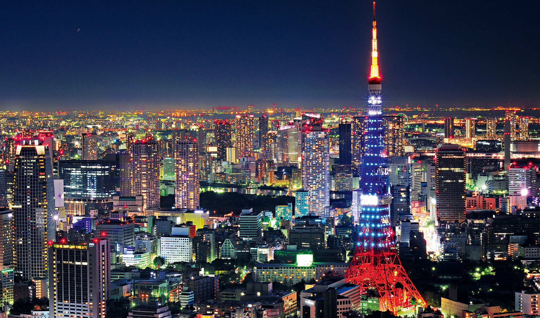 Tokyo la mega città — Tokyo