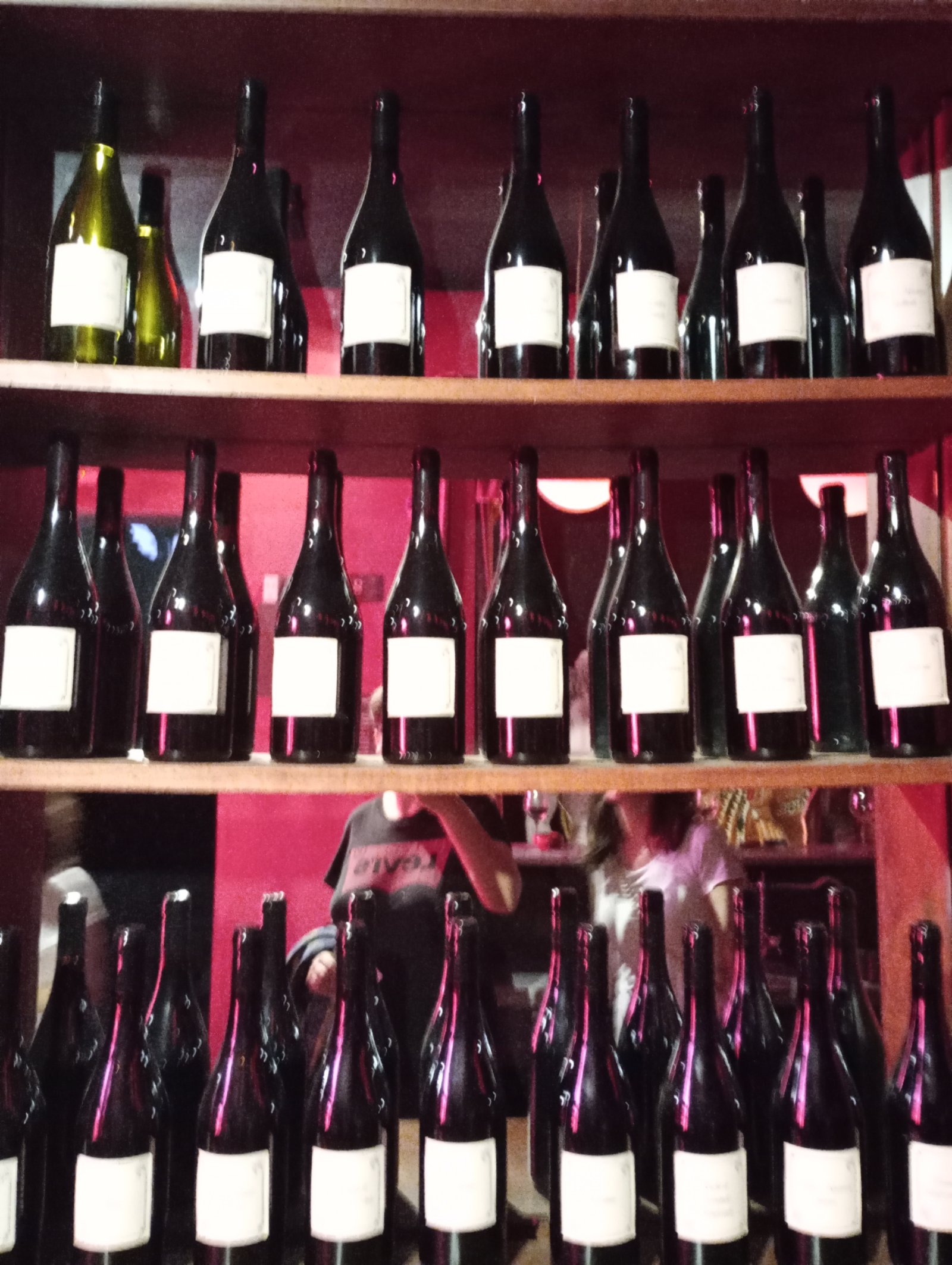 Barolo the King of Wines - Secret World - Barolo | Secret World Trip Planner