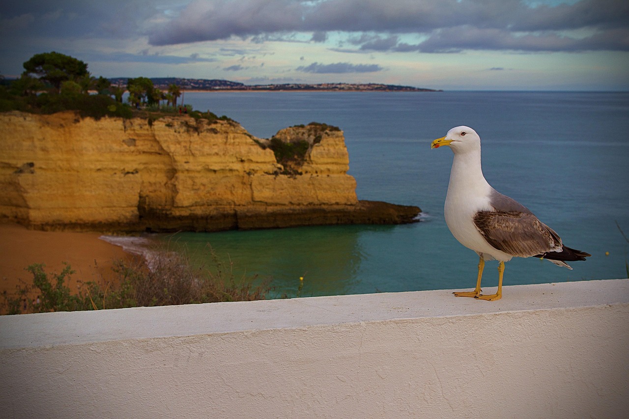 Albufeira - Albufeira | Secret World Trip Planner