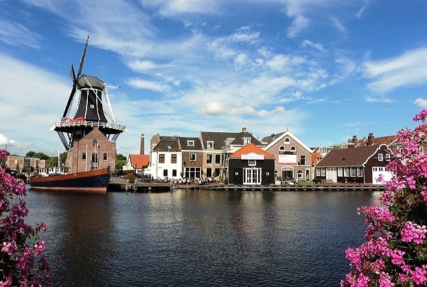 Harlem | The Tulip Capital — Haarlem