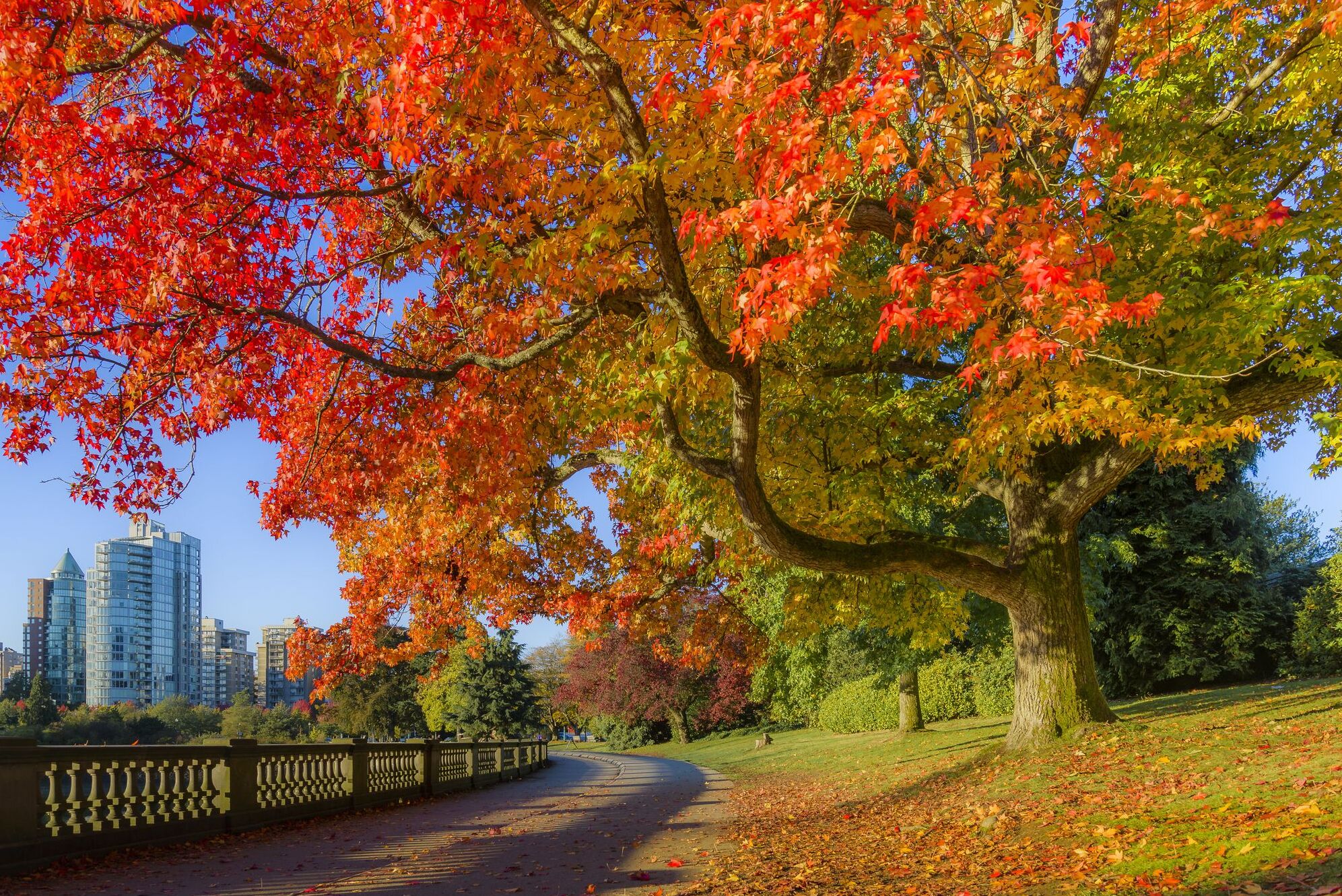 Stanley Park is Vancouver’s  fresh-air attraction — Vancouver
