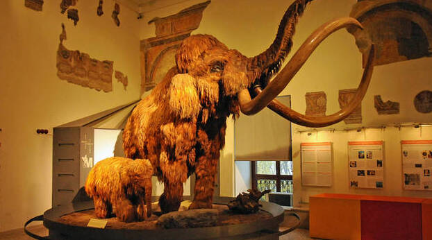 Bergamo | Museum für Naturwissenschaften Enrico Caffi - Bergamo | Secret World Trip Planner