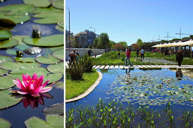 Water Garden: A Tranquil Oasis in the Heart of Thessaloniki - Thessaloniki | Secret World Trip Planner