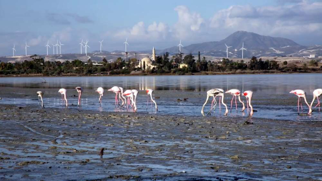 Larnaca Salt Lake - Larnaca | Secret World Trip Planner