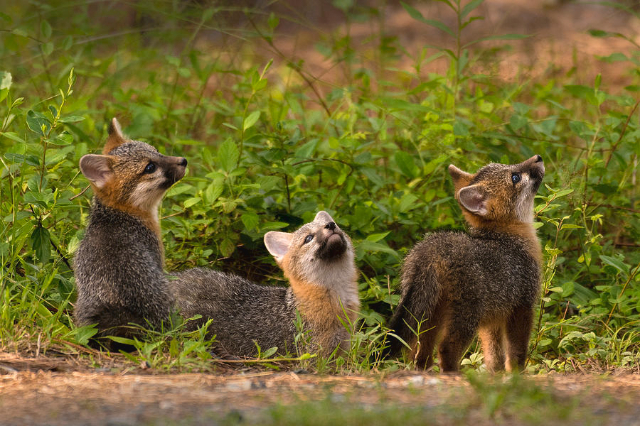 Uwharrie National Forest - Troy | Secret World Trip Planner