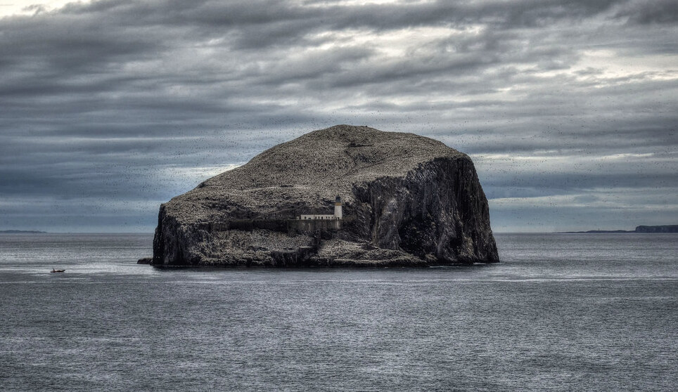 Schottland: der Bass Rock, oder einfach der Bass — Bass Rock