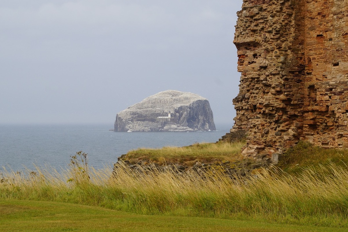 Schottland: der Bass Rock, oder einfach der Bass - Bass Rock | Secret World Trip Planner