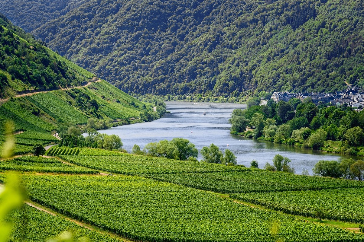 Château-Chalon und Weinberge im Seille-Tal - Château-Chalon | Secret World Trip Planner