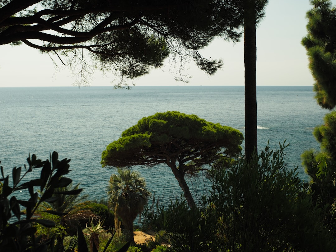 Conca dei Marini / tanpa wates segara taman - Conca dei Marini | Secret World Trip Planner