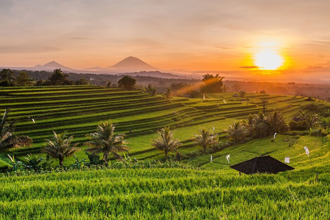 Indonesien | Ubud — Kabupaten Gianyar
