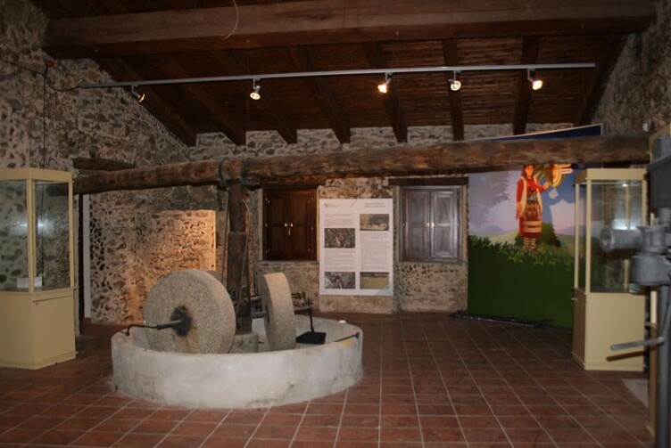 Museum of Olive Oil and Rural Civilization - Zagarise | Secret World Trip Planner