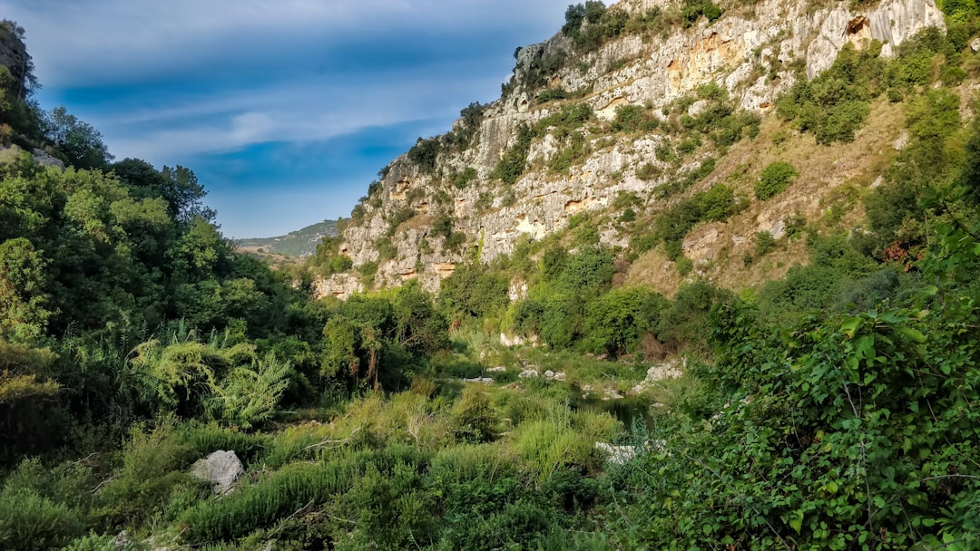 Calabria | La Riserva Naturale delle Valli Cupe - 88054 | Secret World Trip Planner