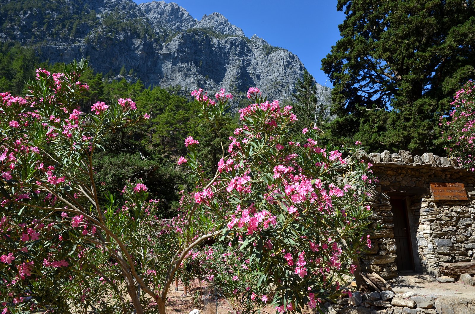 Samaria-Schlucht: Eines der berühmtesten Trekking-Touren in Europa - Sfakia 730 11 | Secret World Trip Planner