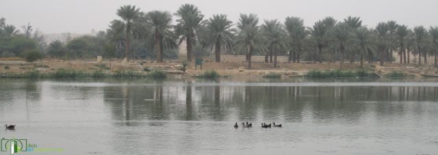 Al Hair Parks and Lakes: where nature and Saudi tradition meet - Riyad | Secret World Trip Planner