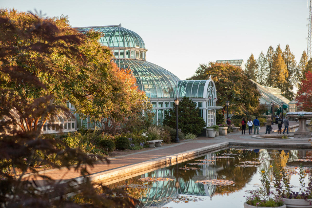 Giardino botanico di Brooklyn — Brooklyn