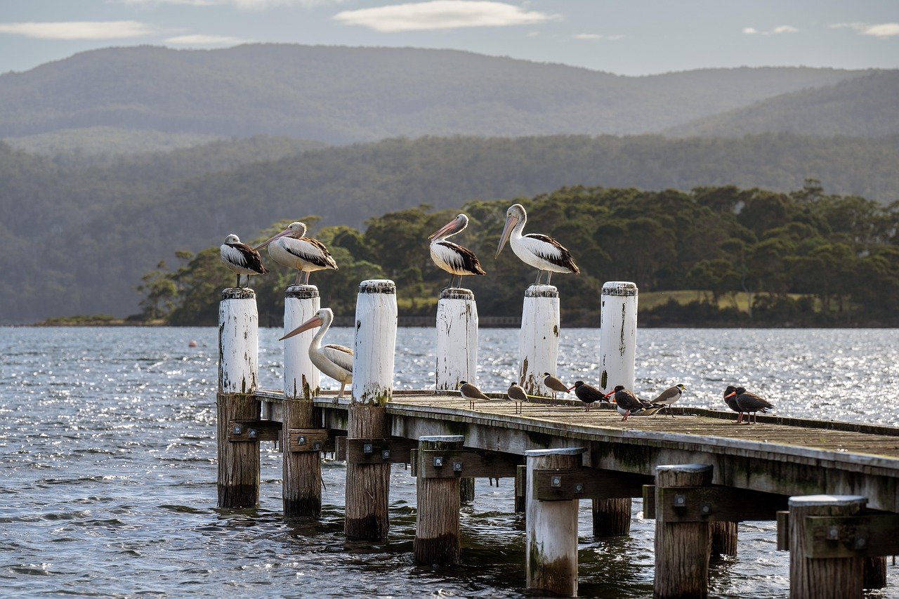 Australia | Apollo Bay  - Apollo Bay | Secret World Trip Planner