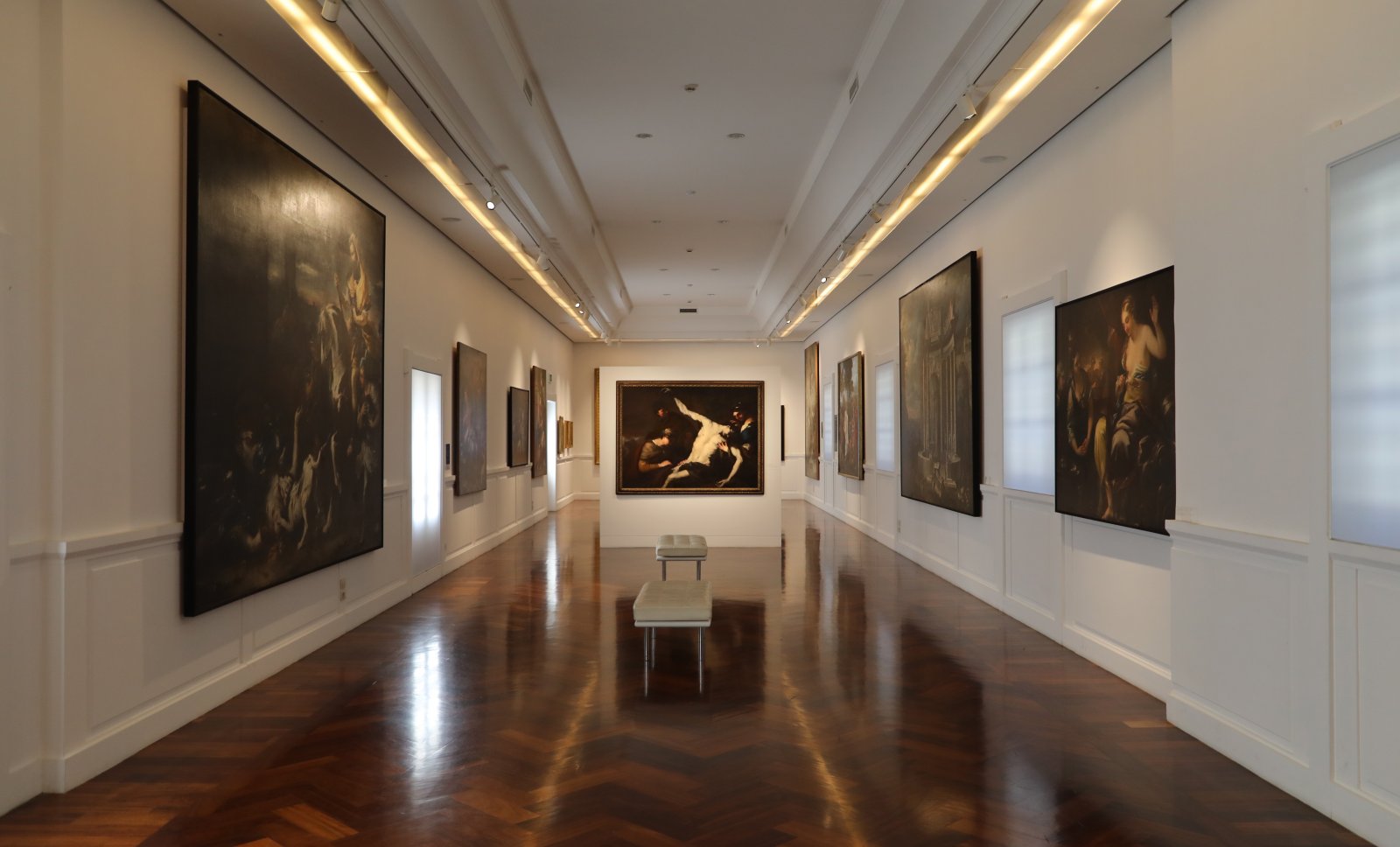 राष्ट्रिय Gallery Cosenza - Cosenza | Secret World Trip Planner