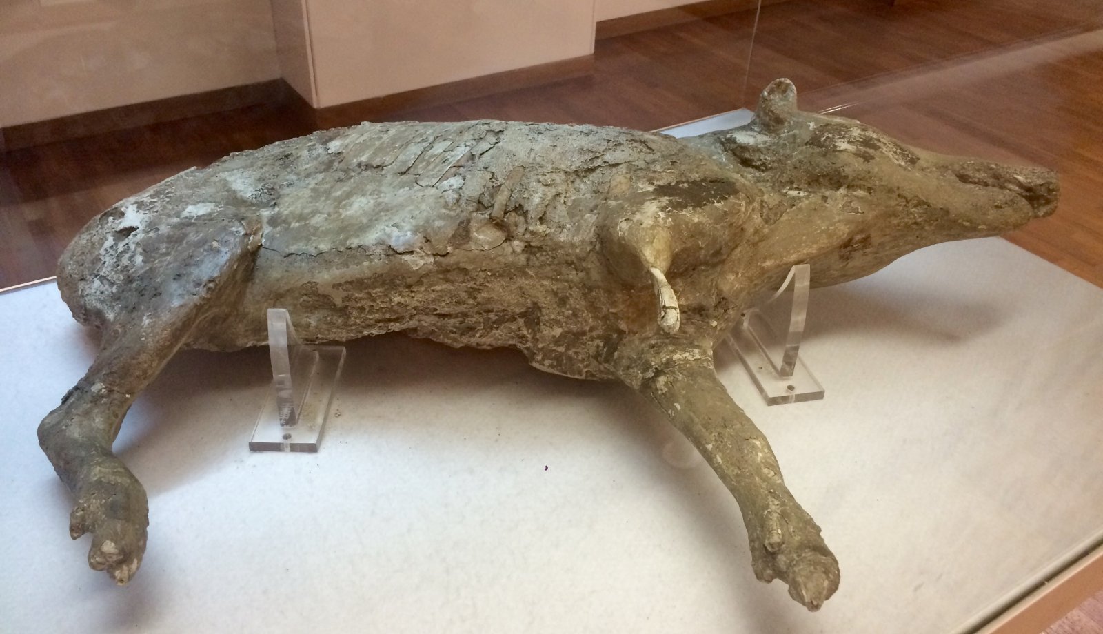 Antiquarium-Boscoreale - Boscoreale | Secret World Trip Planner