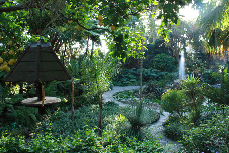 Ischia and La mortella gardens - Forio | Secret World Trip Planner