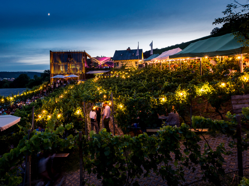 La strada del vino di Wurzburg — Würzburg