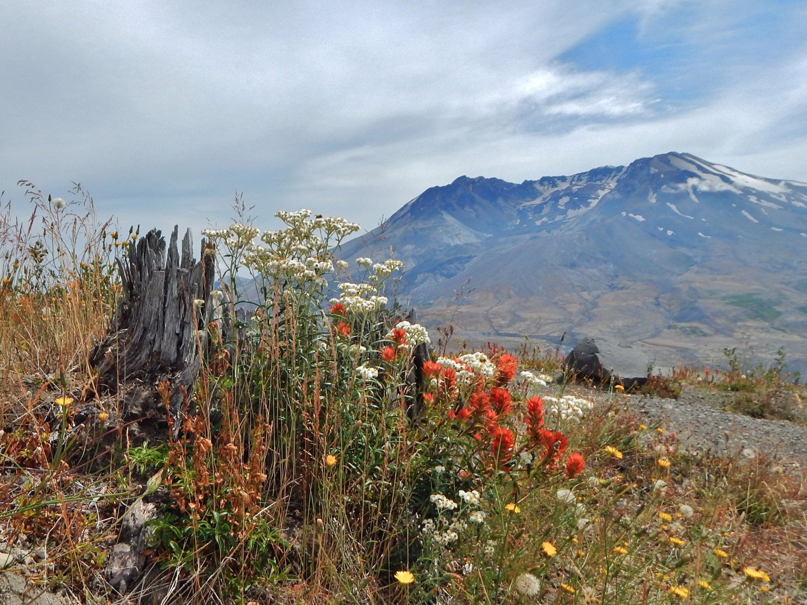 Der Berg St. Helena - Monte Sant'Elena | Secret World Trip Planner