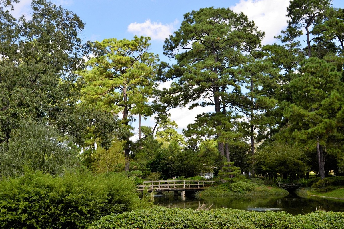 Nationaler Botanischer Garten - La Habana | Secret World Trip Planner