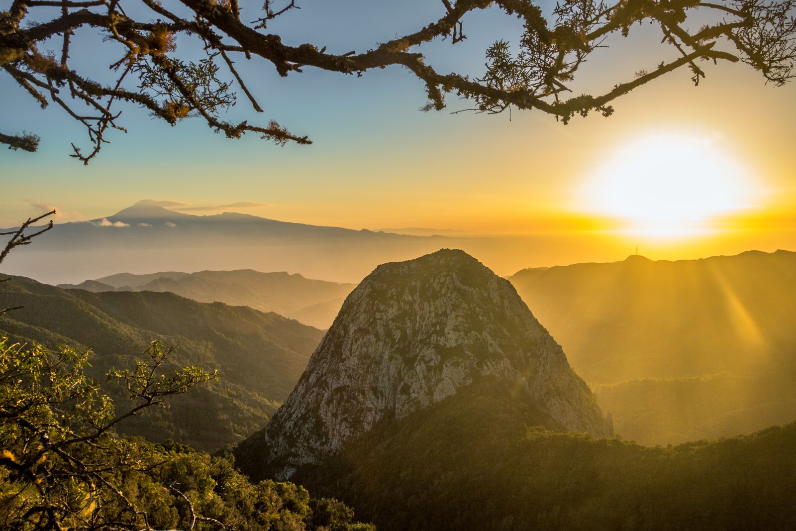 Island of La Gomera and the Laurel Forest - La Palmita | Secret World Trip Planner