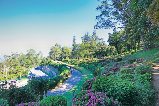 Botanische Gärten von Hakgala — Distretto di Nuwara Eliya