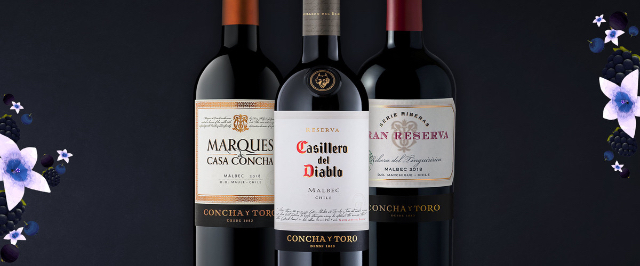 Wines of the Azapa Valley — Arica